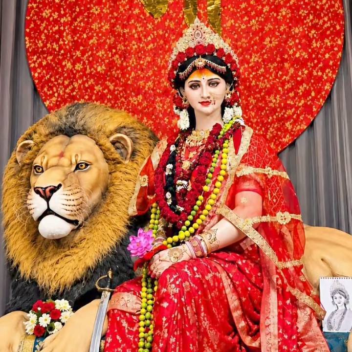 Gaurav_Max on Bideo