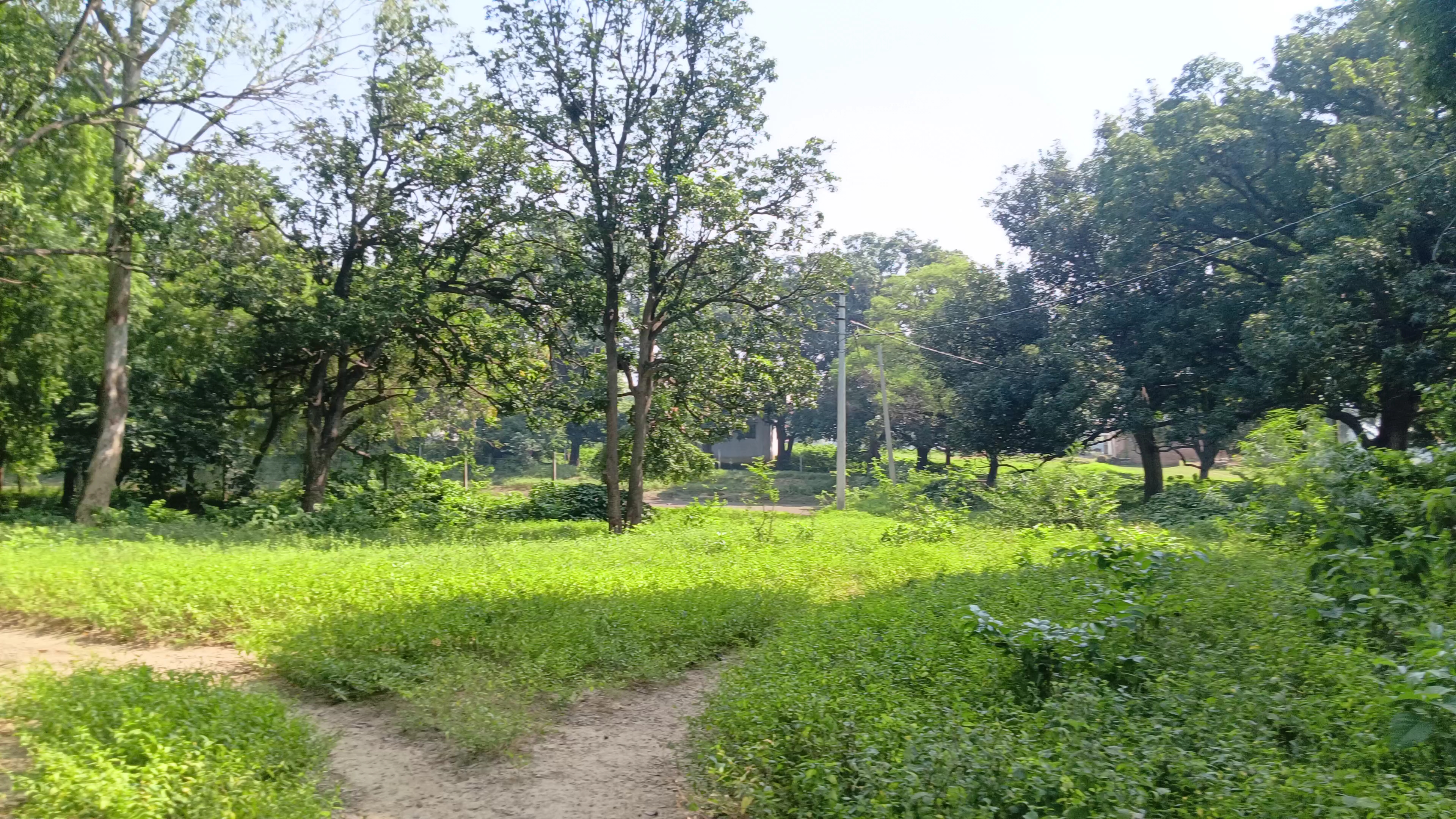 काली मां का मंदिर का रहस्य देखिए पूरा वीडियो में पता चलेगा काली मां के मंदिर का पूरारहस्य