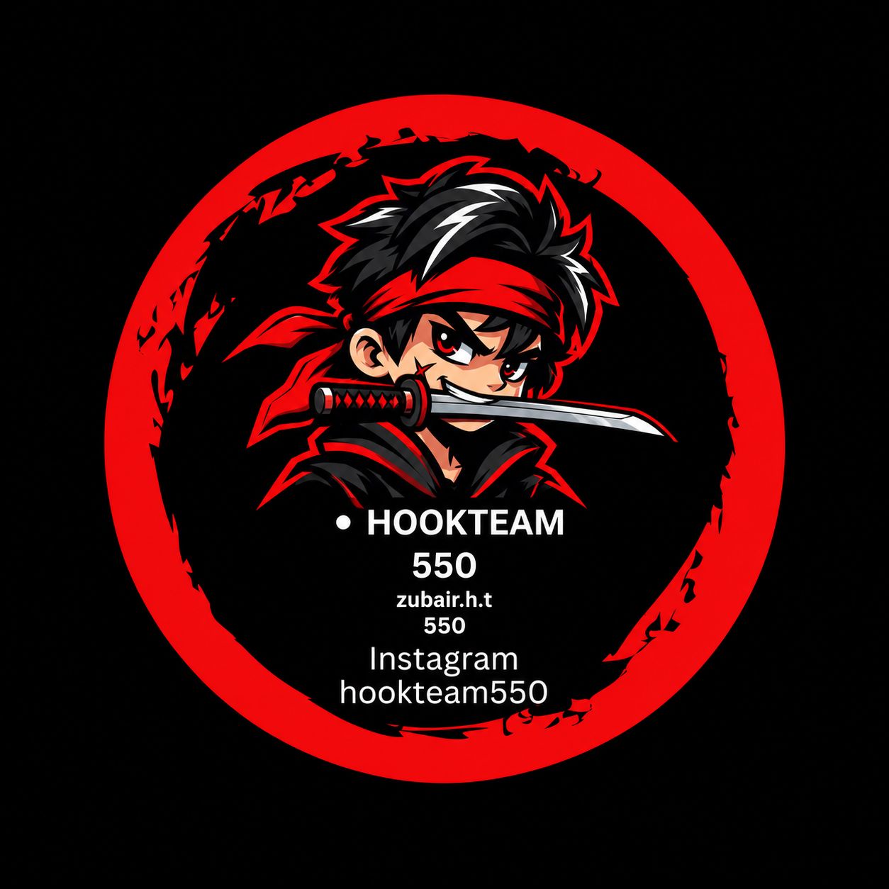 HOOKTEAM550 on Bideo