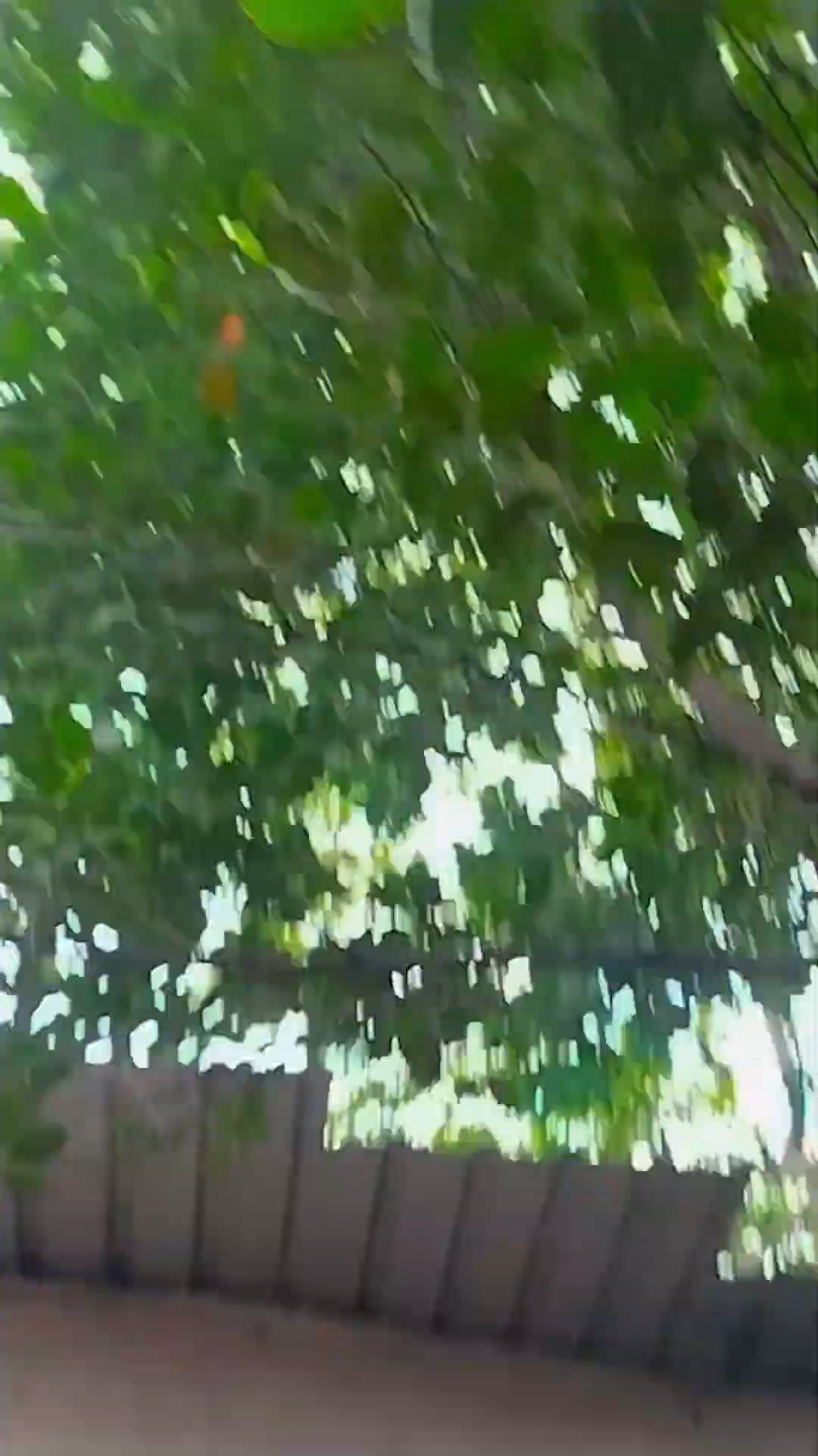 Bhojpuri Mood