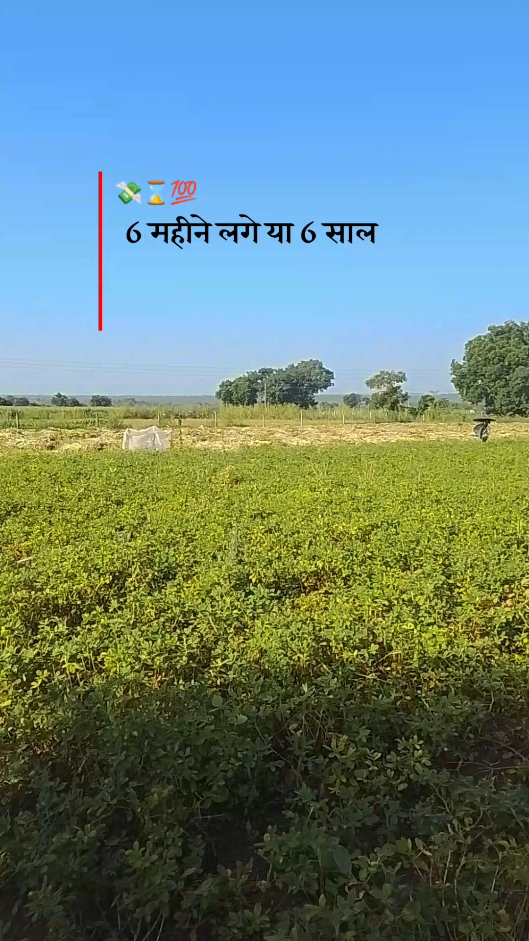 Farming on top