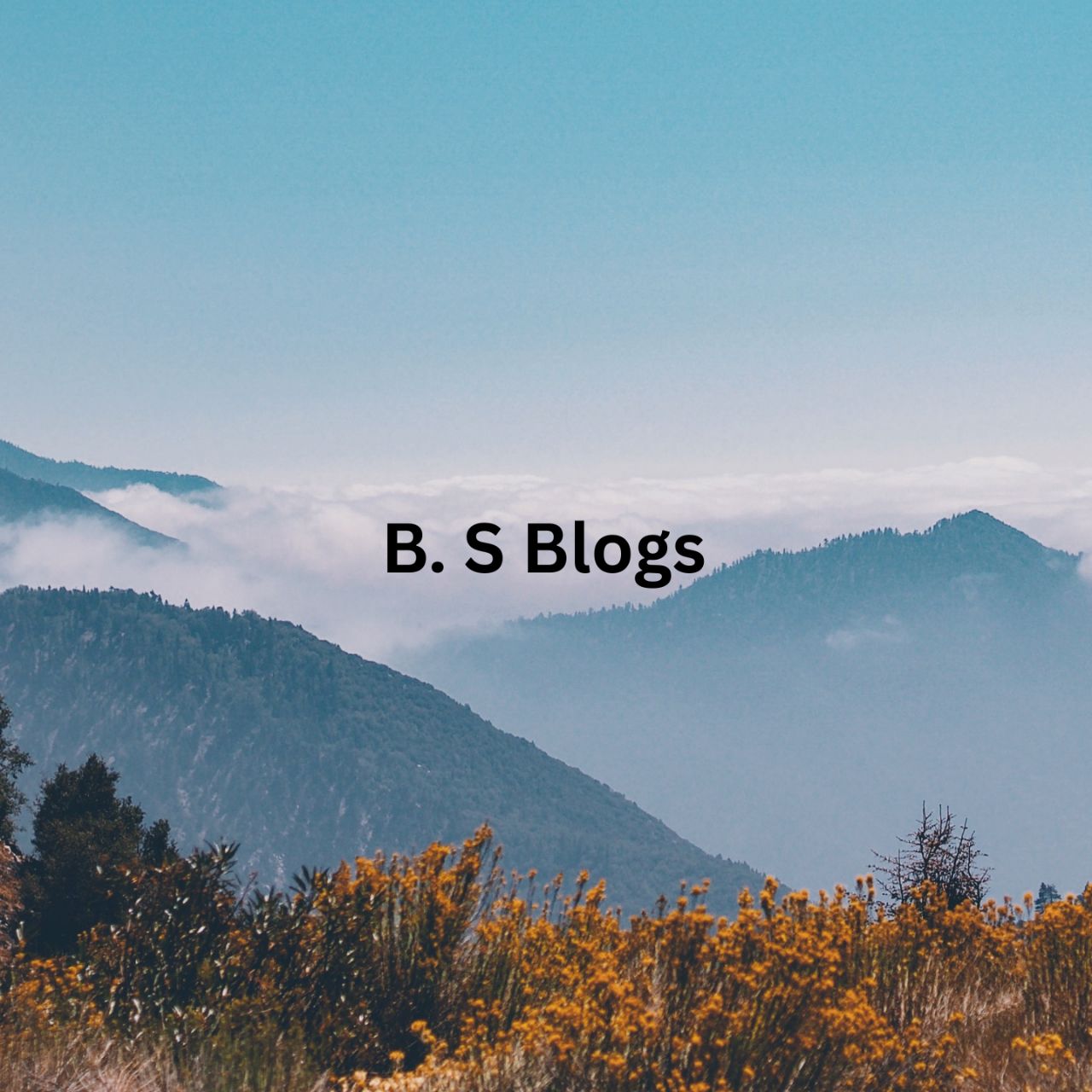 B. S Blogs☀️☀️ on Bideo