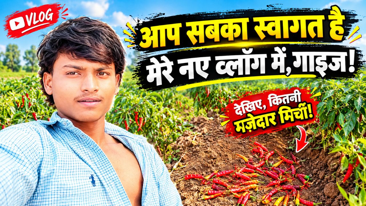 🌶️ खेत में मिर्ची से बनाई मजेदार डिजाइन 😍 | Village Life Vlog | pawan.bhai.20K