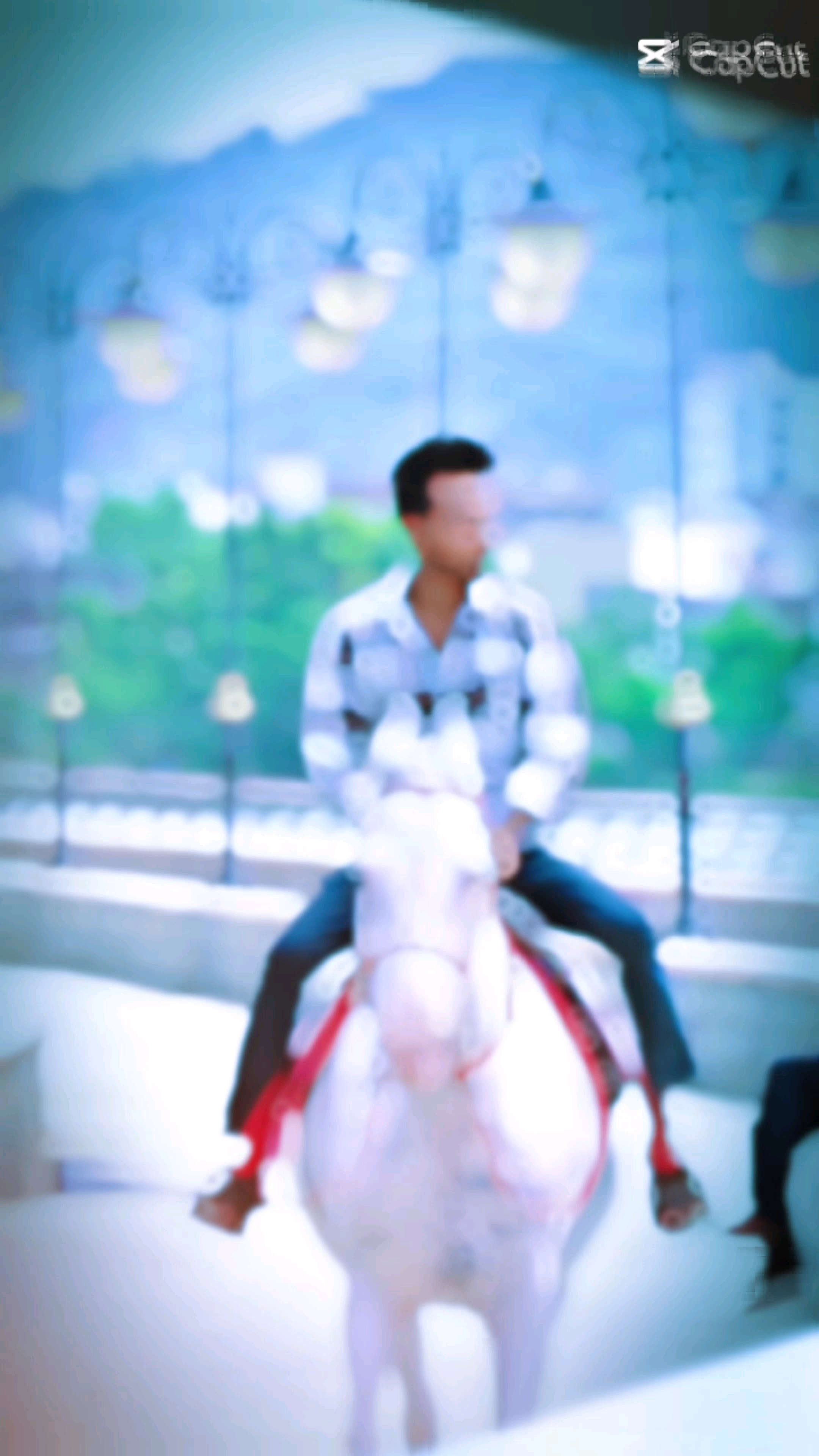 Ghodi video