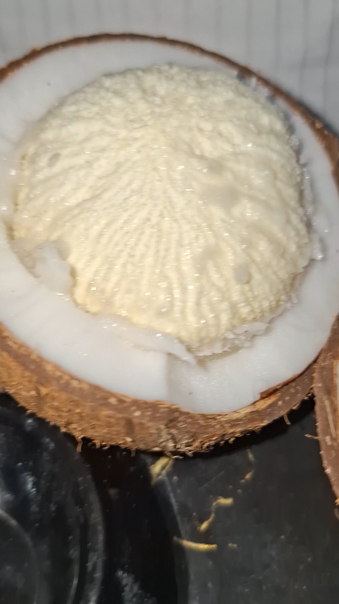 Ap log btao