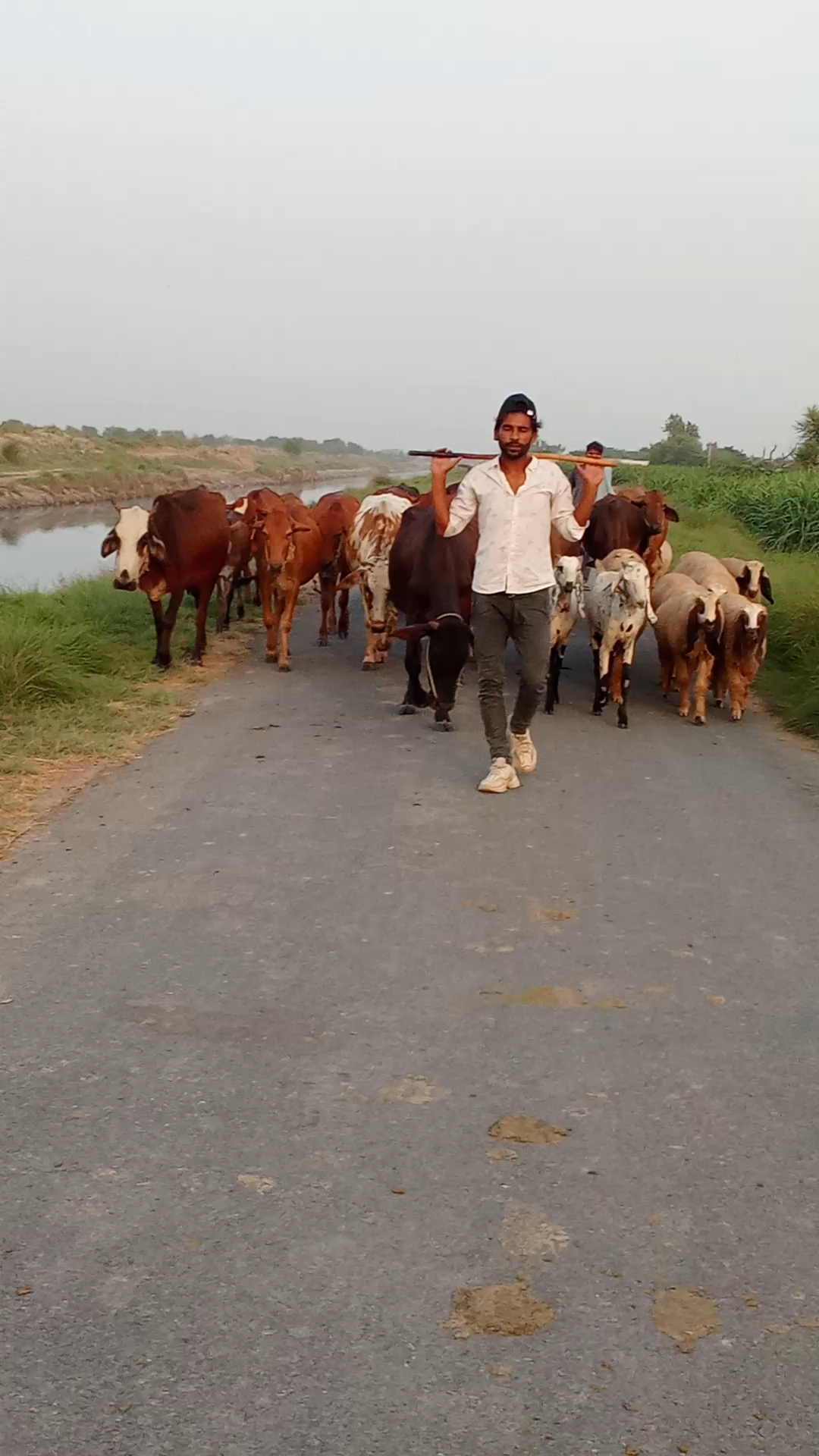Rural life in my village 💯❣️