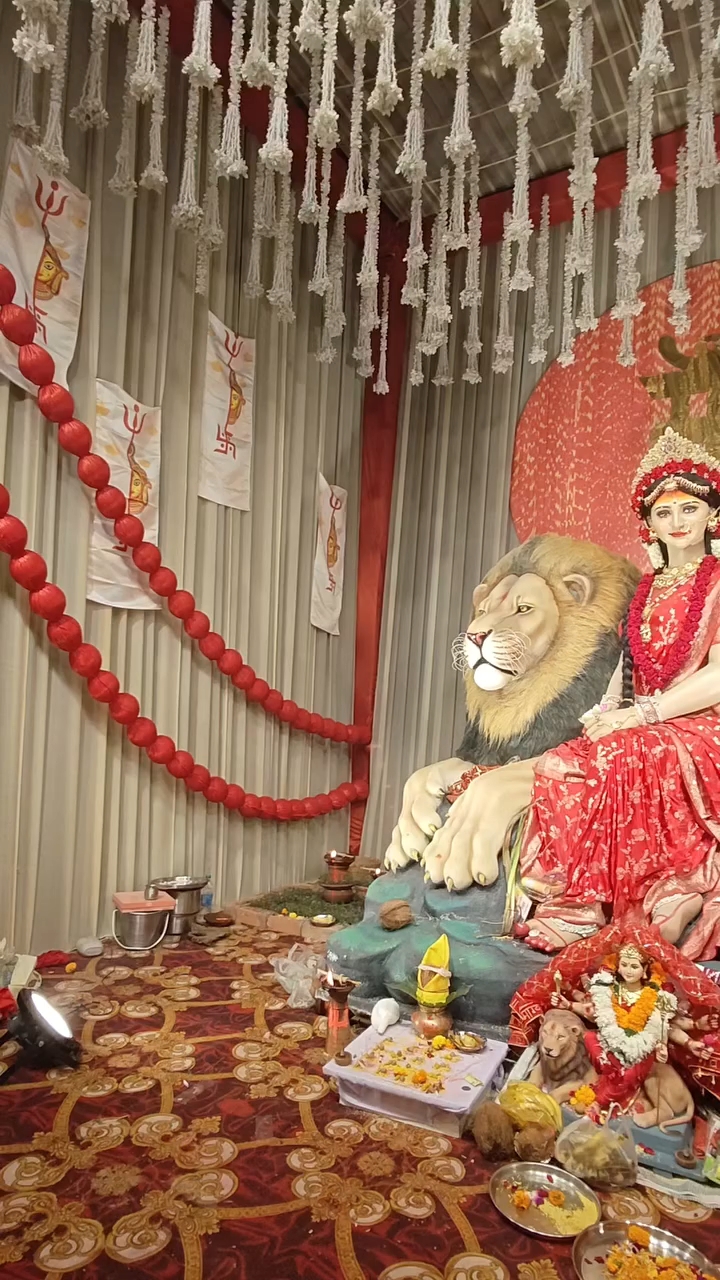 Maa durga ji status