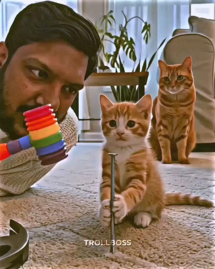this man play with kitten