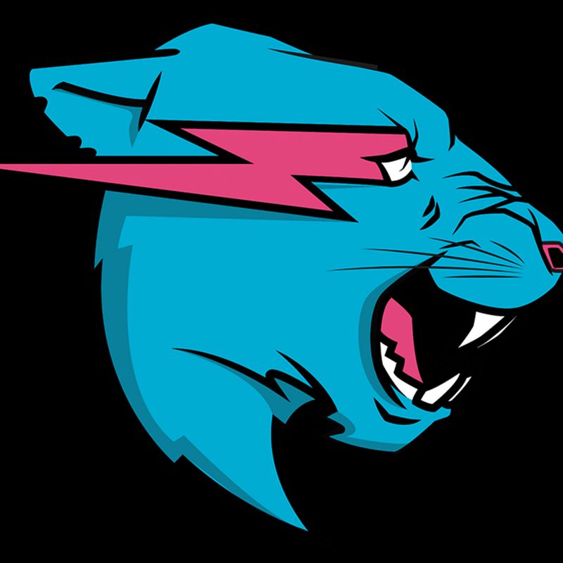 Mr.Beast. on Bideo