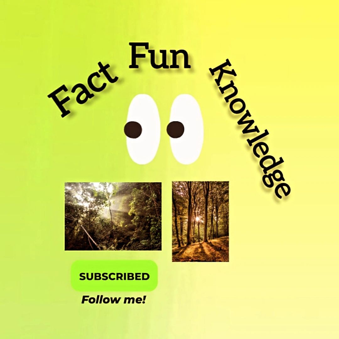 Fact Fun Knowledge on Bideo