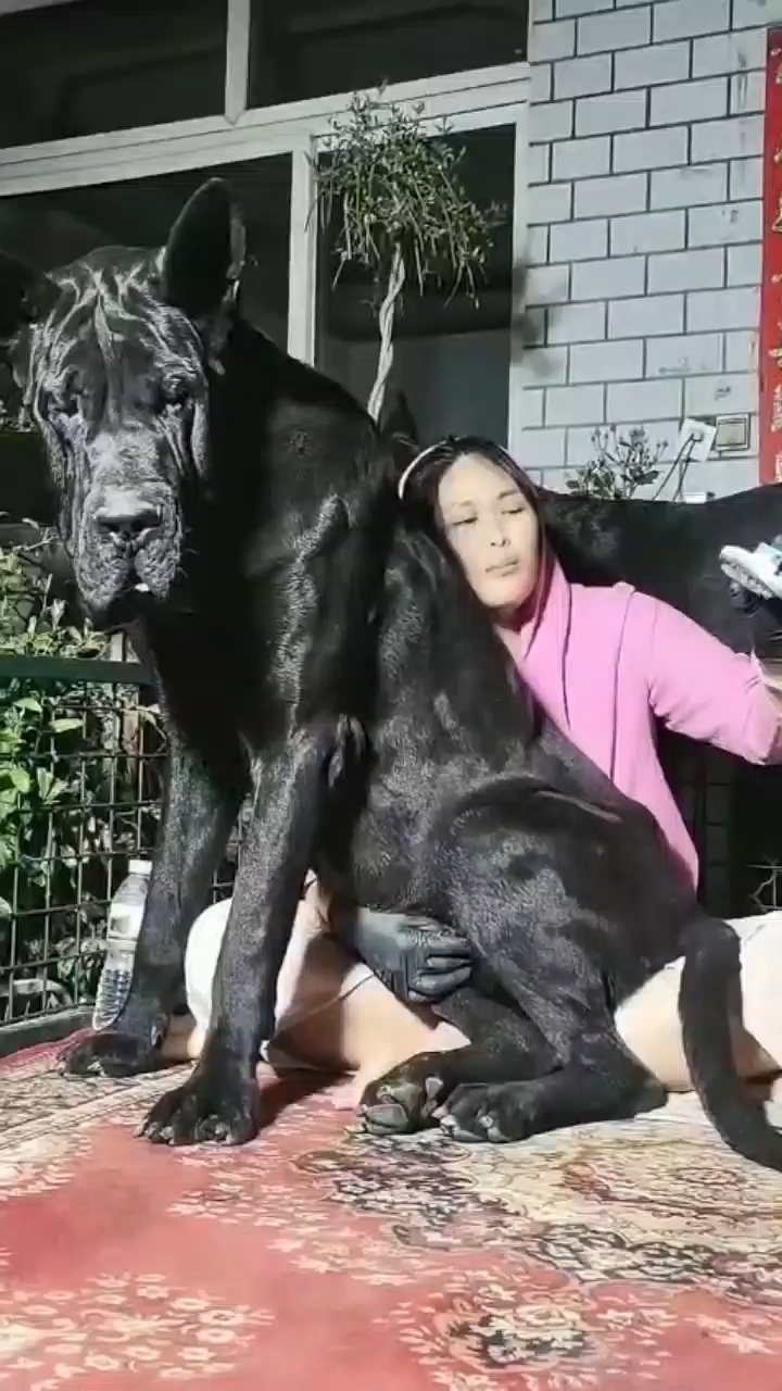 #doglov #dogloyalt#doglife