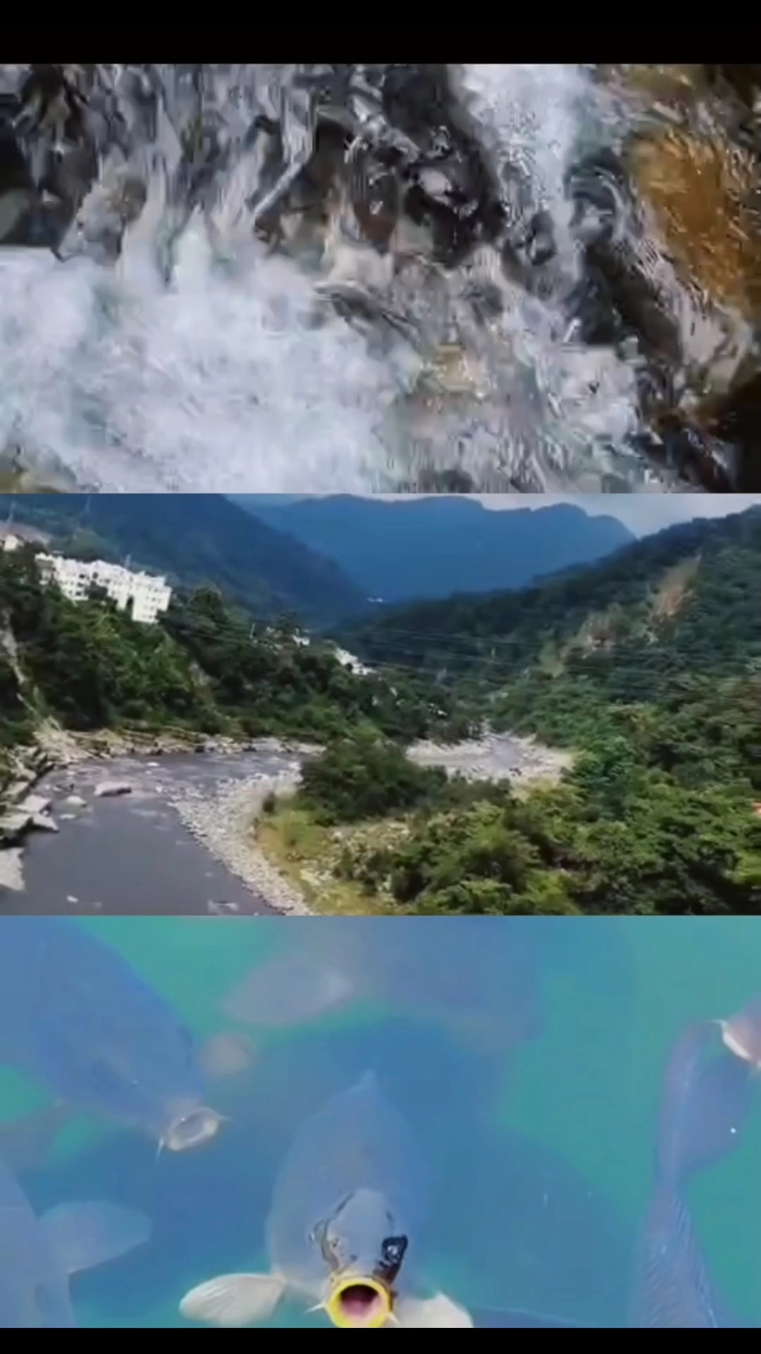 📍Nainital place uttrakhand 📍