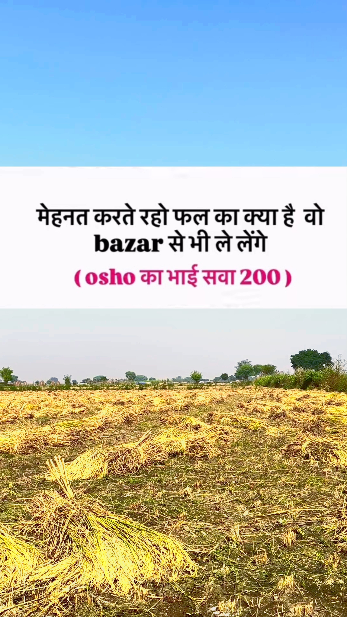 Fale to bajar Se khareed lenge