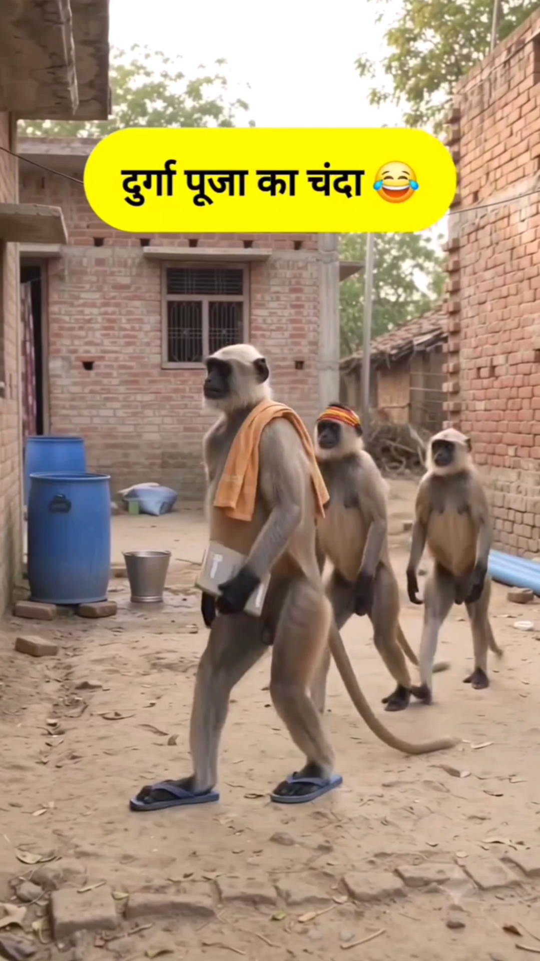 🙏दुर्गा पूजा 🧕😂का चंदा🤣 #shortmonkey  #shortsmonkeys  #monkeyshortsvideo  #monkeyshortscomedy  2