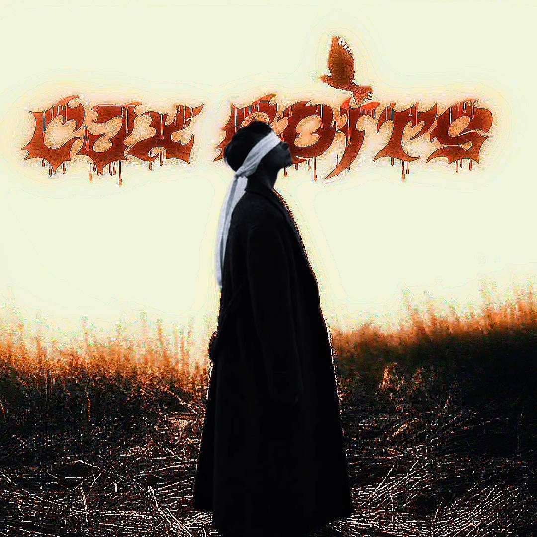 CJX EDITS on Bideo