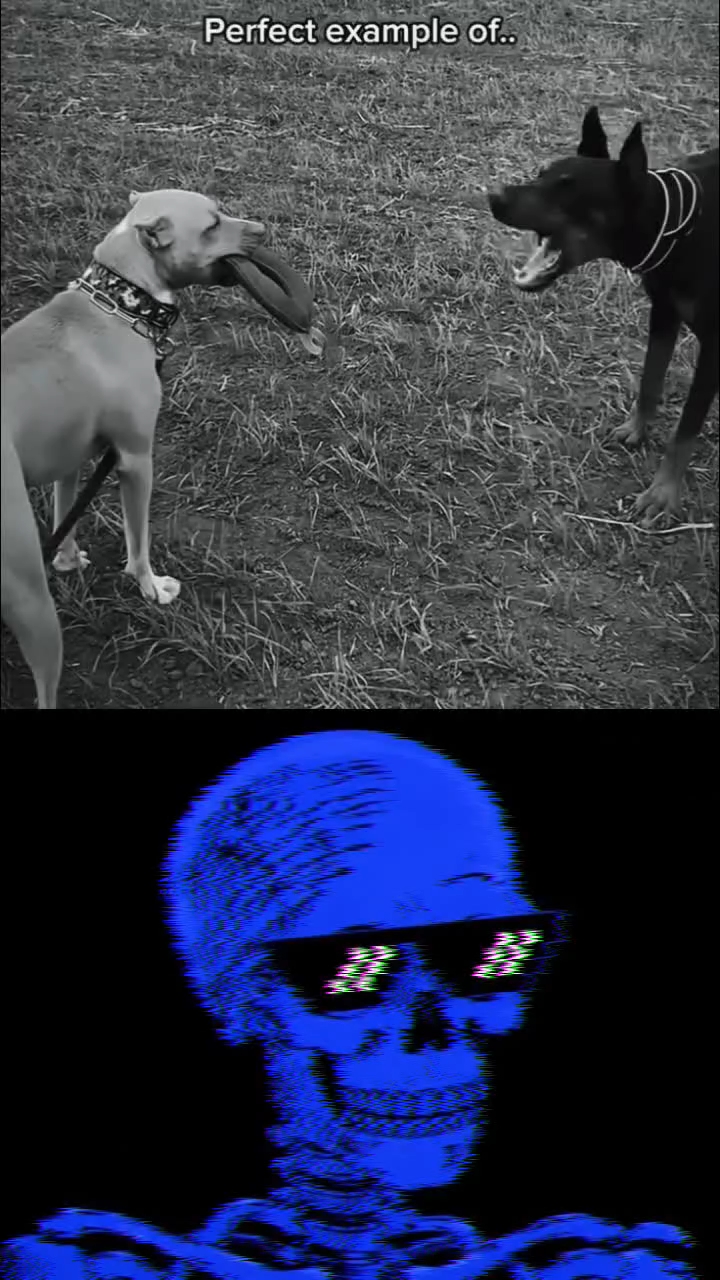 Troll face video