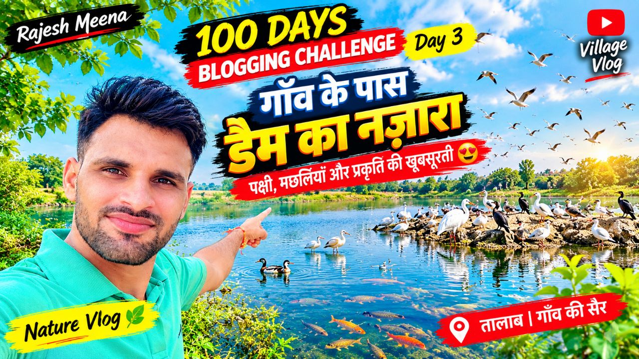 Achanak Se Aaye Dam mein bahut sare Panchi 😱😱