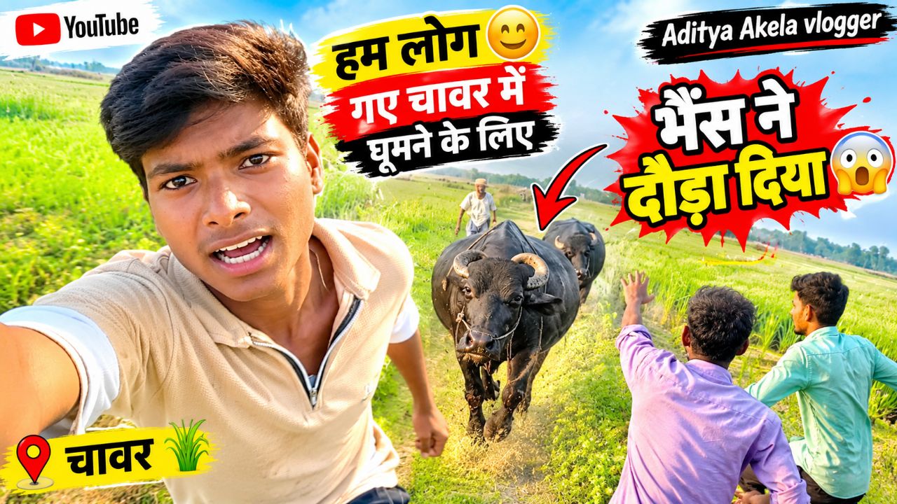 भैंस ने दौड़ा दिया 😲