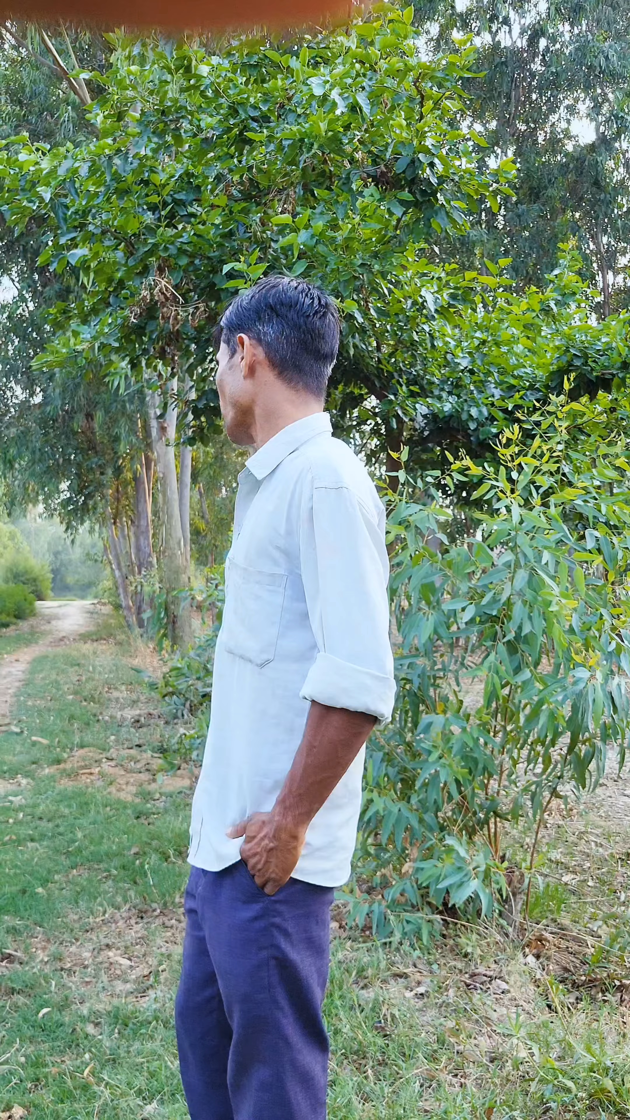आशीष जाकर पता करो उनके पीछे किसका हाथ है #viral #comedy #funnyshorts #reels 🤣
