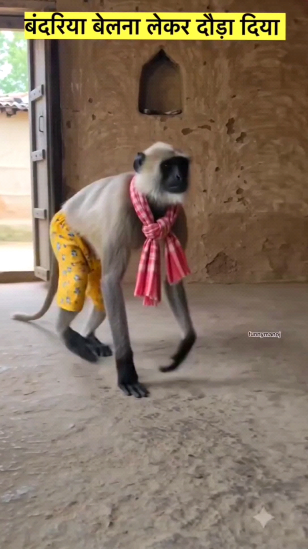 🐒बंदरिया बेलना लेकर🧕😂 दौड़ा दिया🤣  #bandariya  #monkeyshortsfunnyvideo   #monkeyfunnyshorts #ban