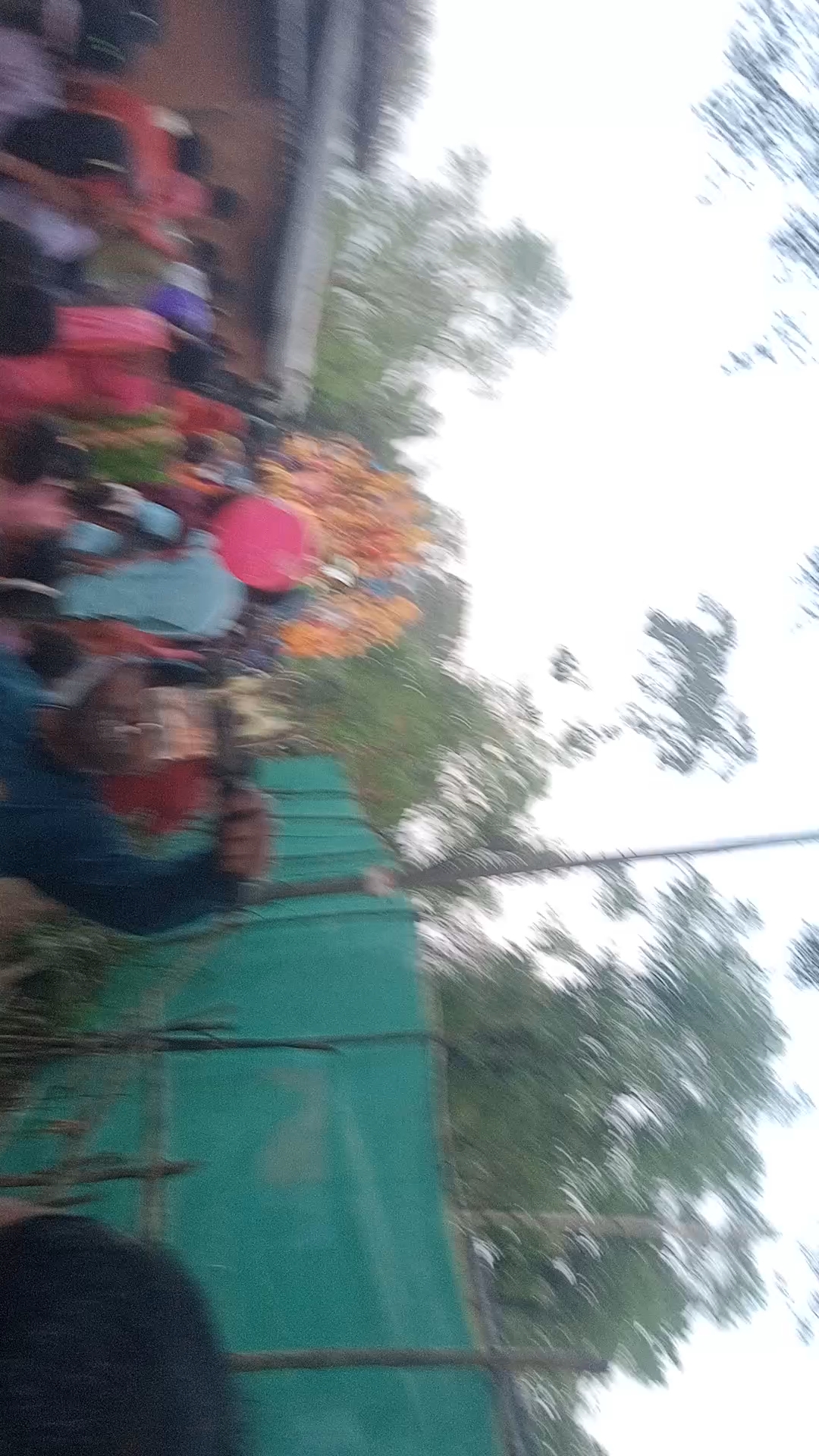 Durga Puja Visarjan