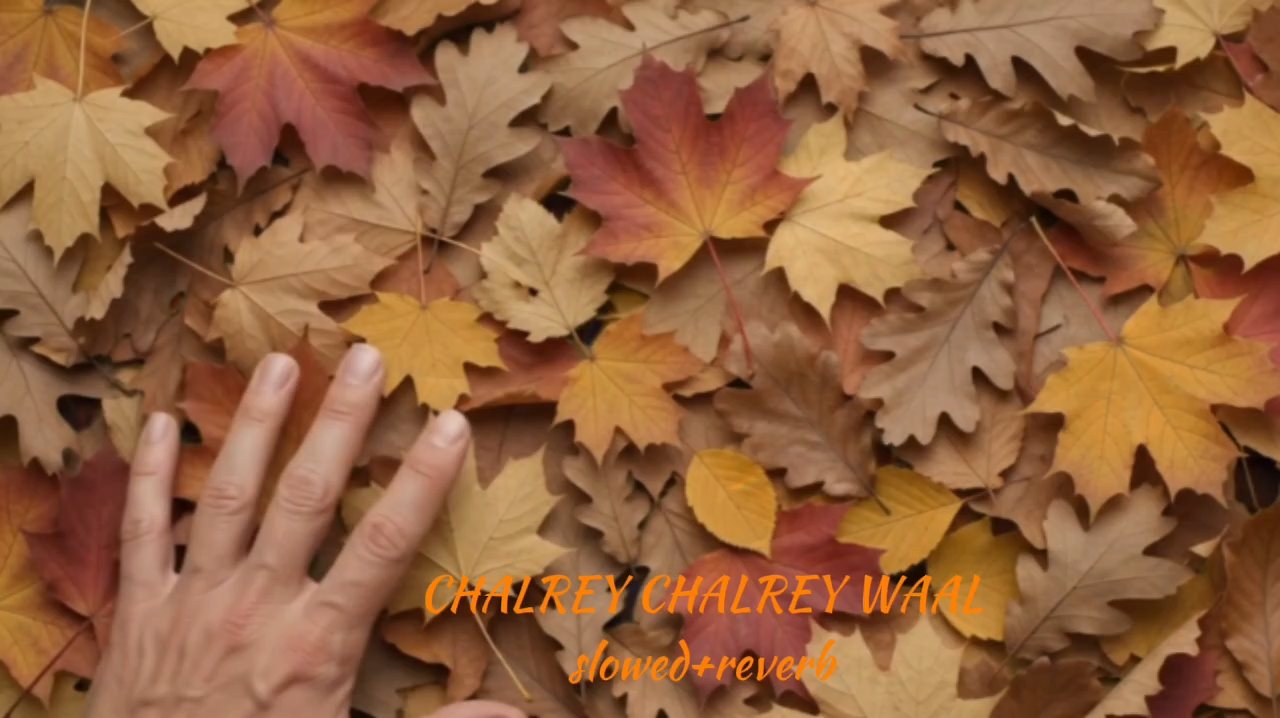 Chalrey Chalrey Waal – Anushka Gautam | Slowed + Reverb 🎧✨
