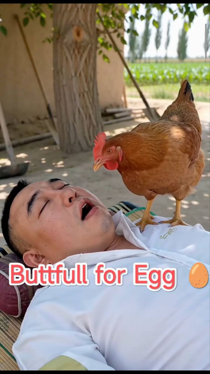 Buttfull for Egg 🥚