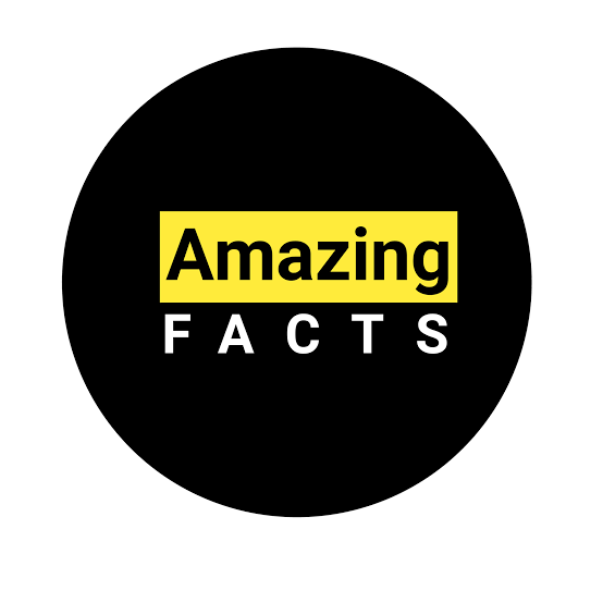 AMAZINGFACTS on Bideo