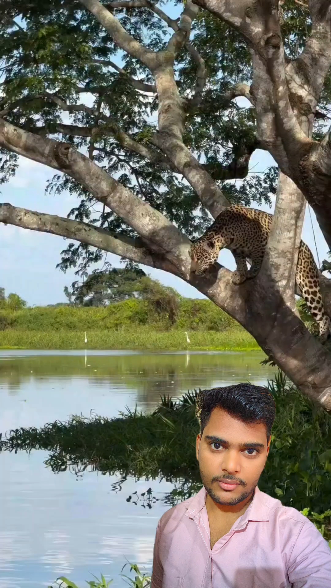 Leopard vs crocodile😱😱