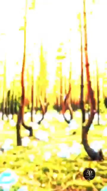 Transform the forest into an enchanted fae realm with bioluminescent glowing mushrooms