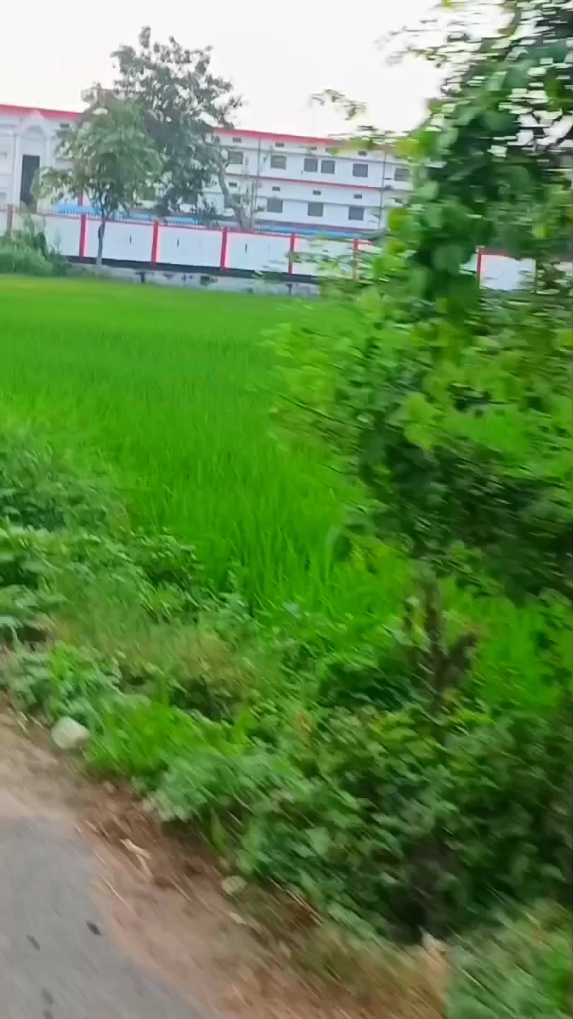 Vlog