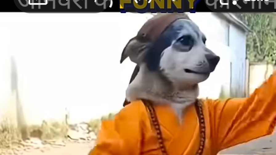 😂🤣 Get ready for a funny and unexpected moment! This video is full of laughter, fun, and hilario