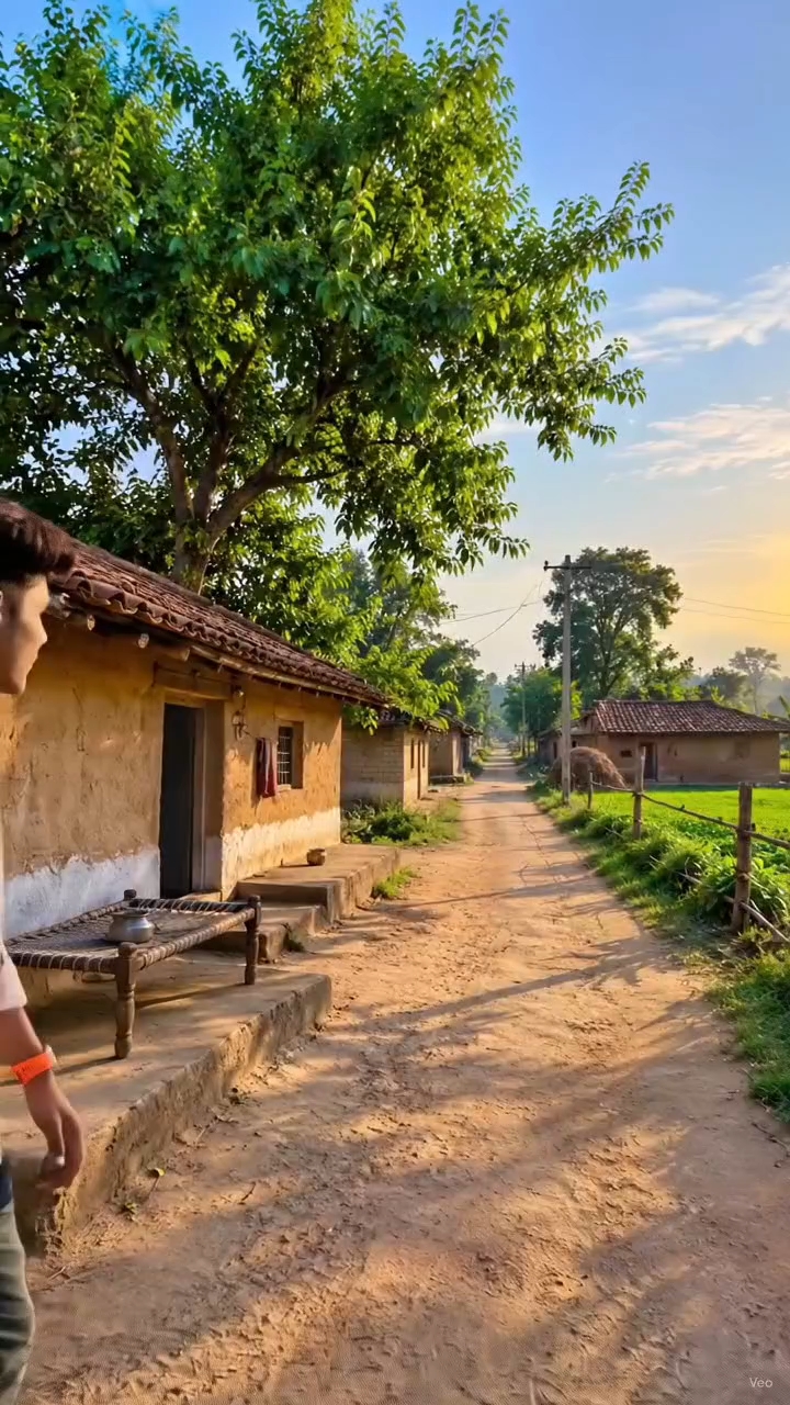 #Desi Vibe ✨ | Mere Dost Ka Gaon 🏡❤️