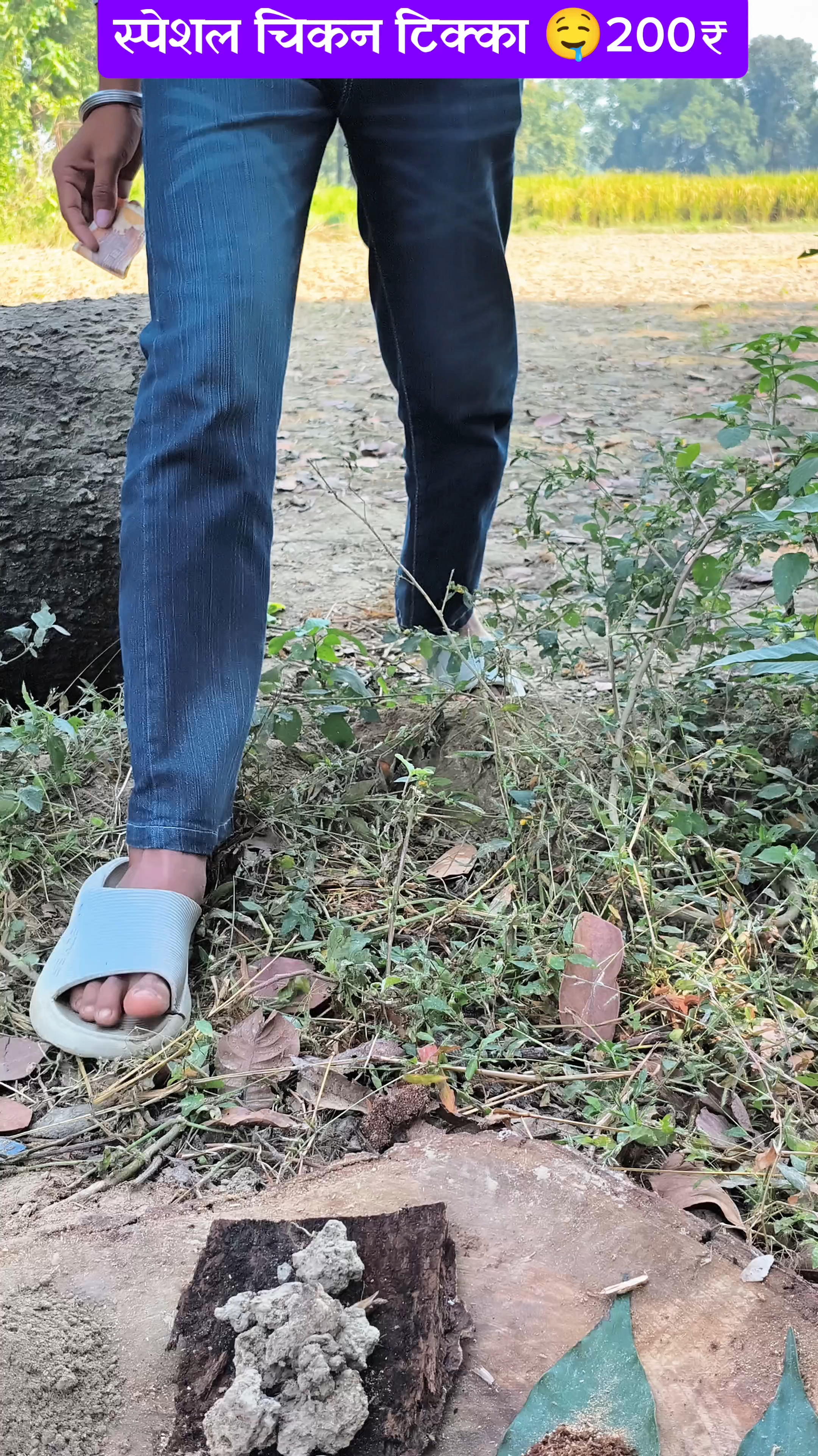 Spasal panir rice mater 200₹