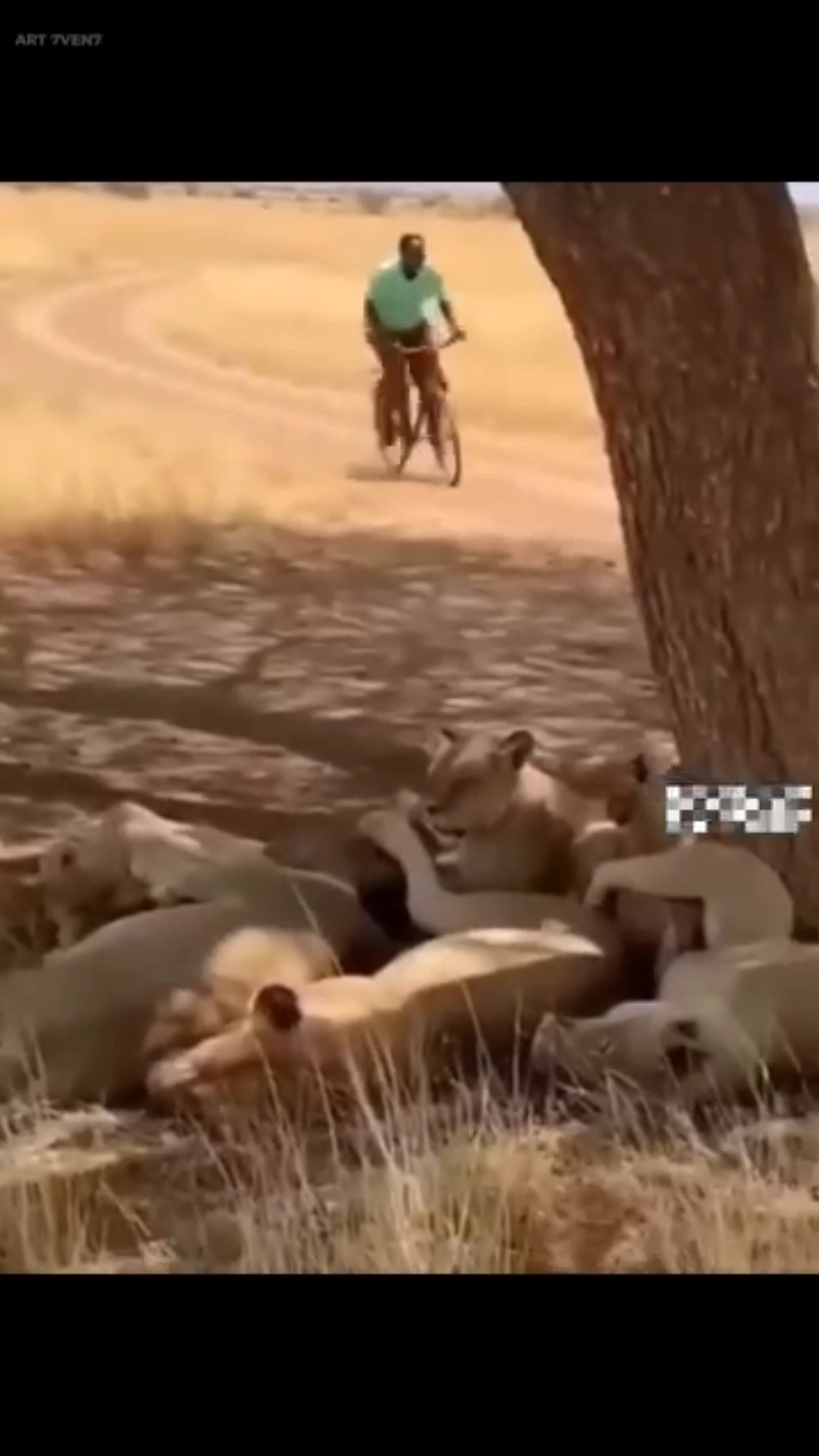 😂 Funniest Moment Ever 🤣 | Funny Shorts #shorts #automobile #ajjubhaiinmymatch #gaming