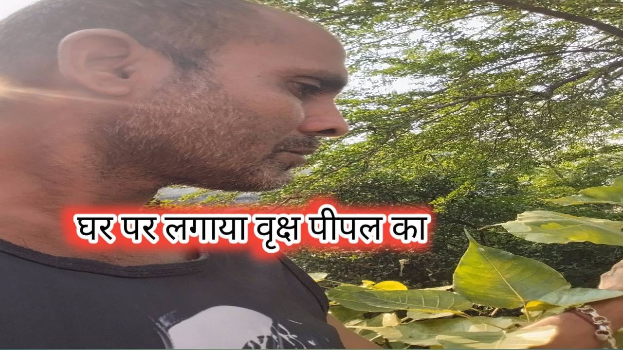 घर में लगाए पीपल का पेड़ | जानिए सही नियम और महत्व | पीपल का पेड़ घर में लगाना चाहिए या नहीं