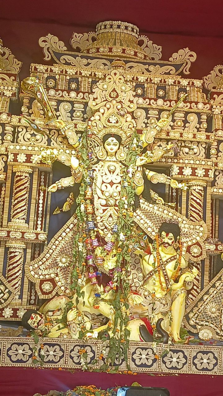 Durga puja special