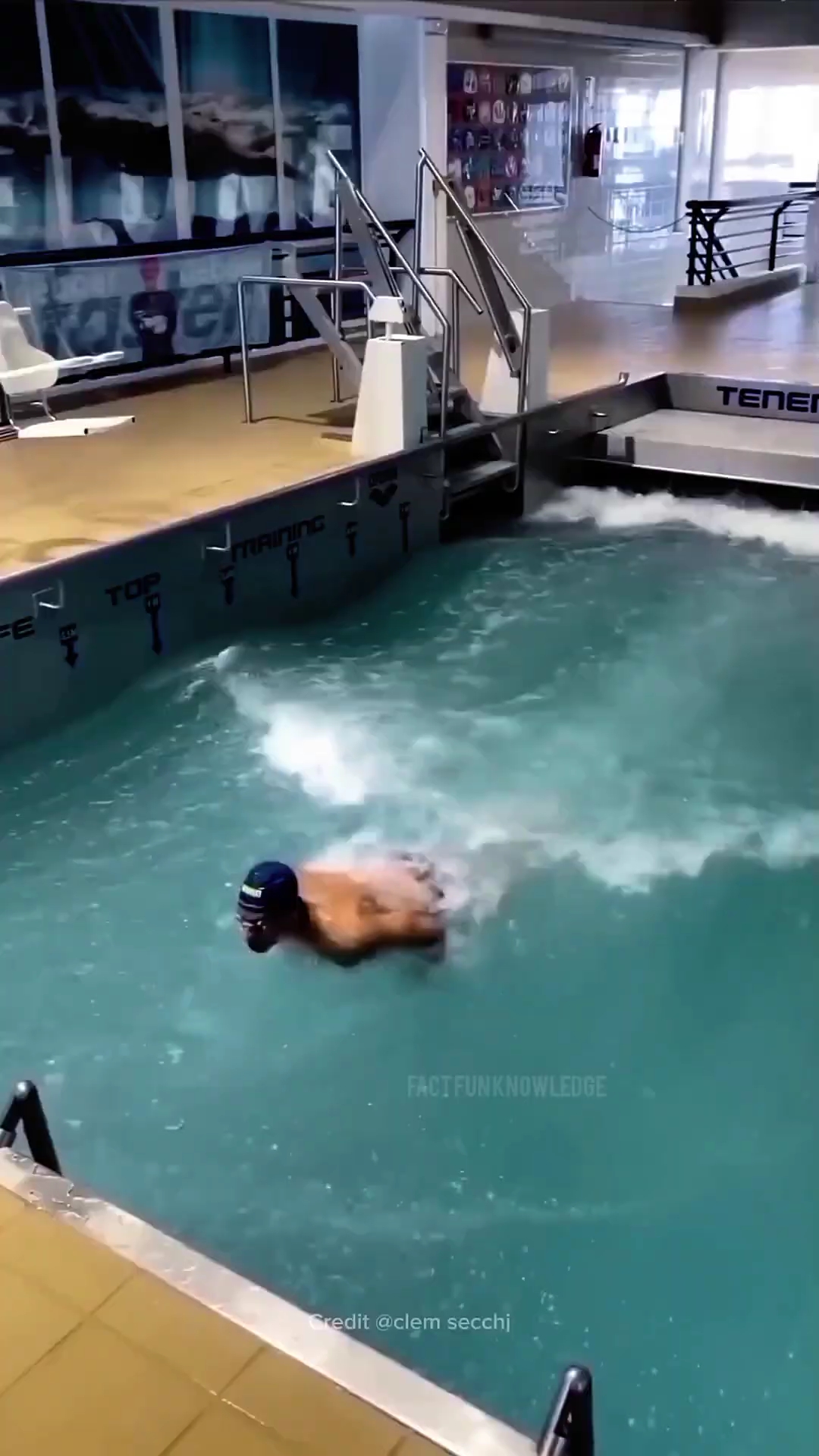 Swimming 🥽 Kaise 🤔 Karte Hai