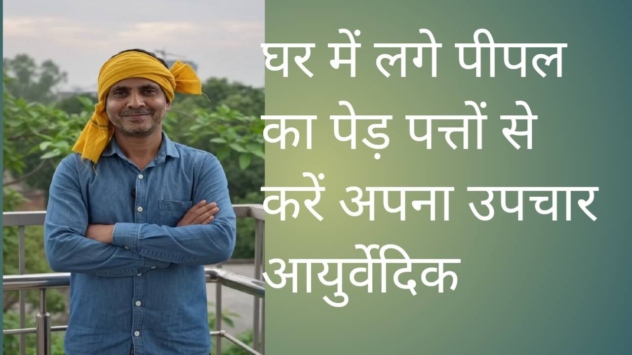 घर में लगे पीपल के पेड़ के पत्तों से करें ये उपाय | आयुर्वेदिक नुस्खा | DK Vlogs