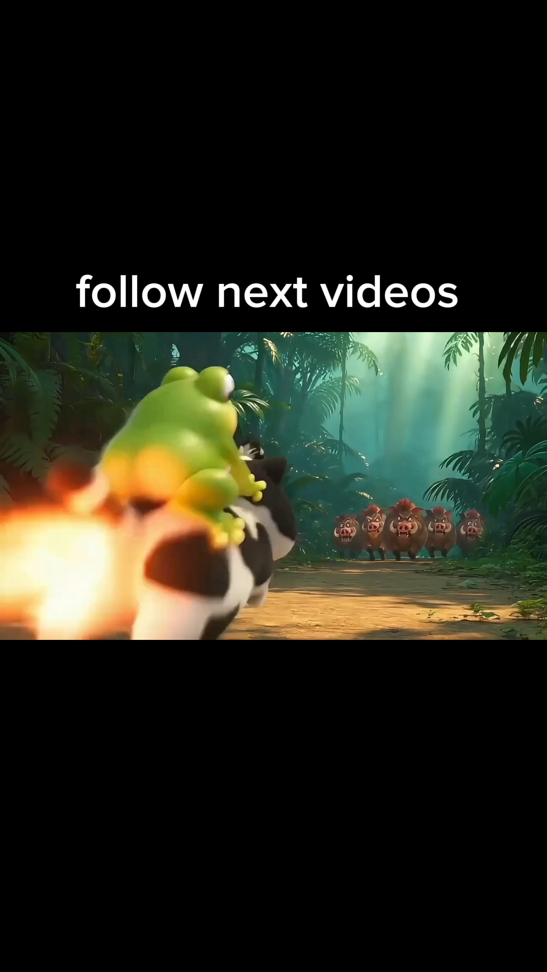 New funny videos