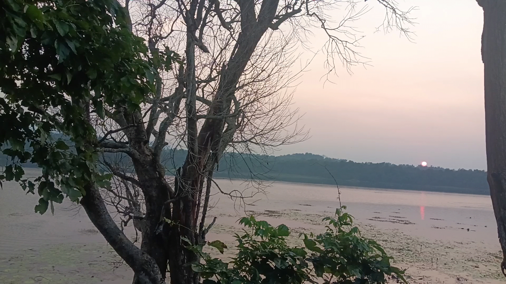 Risia dam finally #video # short video
