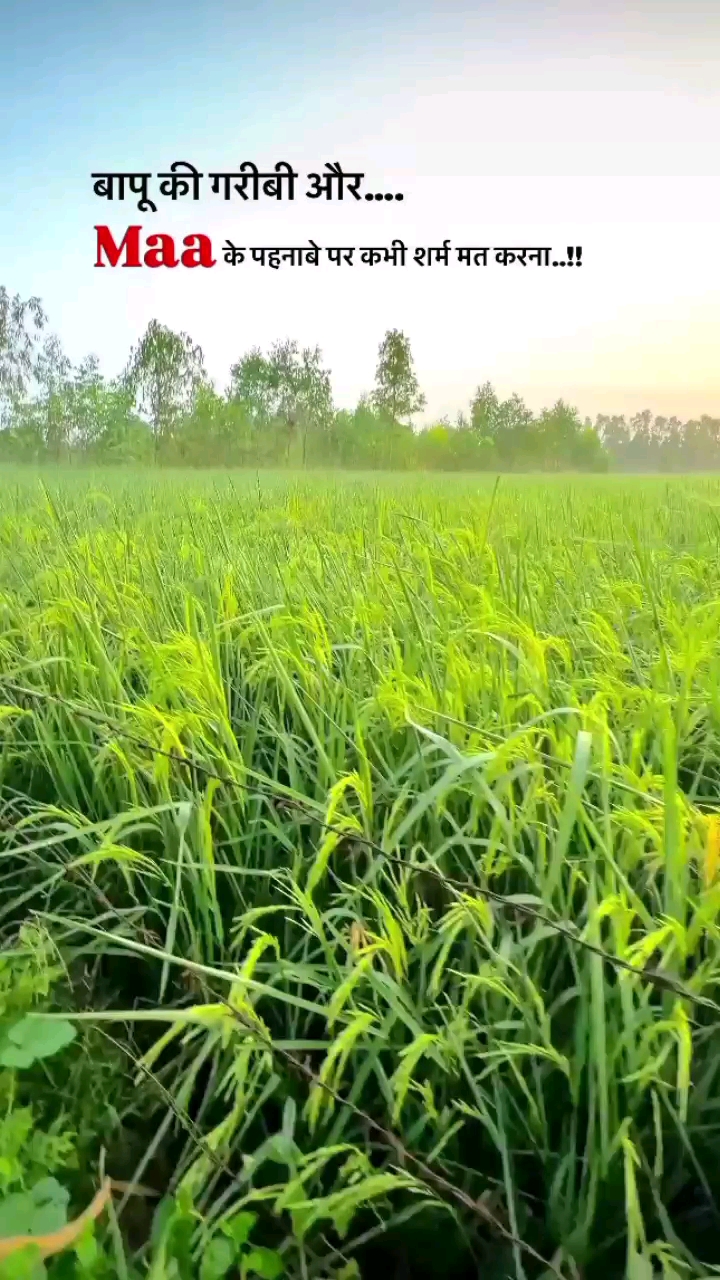 Farmer life
