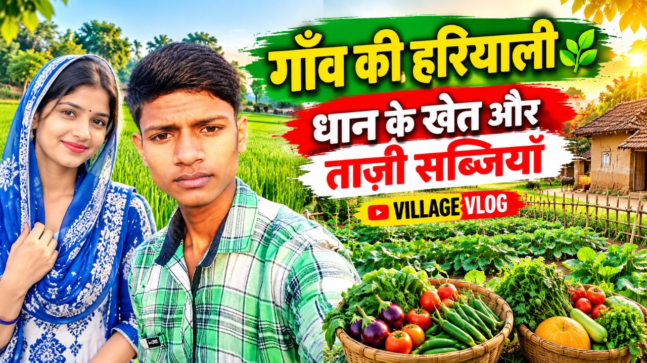 🌾😍 गाँव की हरियाली और खेतों का असली स्वैग 🔥💚 | धान के खेत और ताज़ी सब्जियों का खूबसूरत नज़ारा