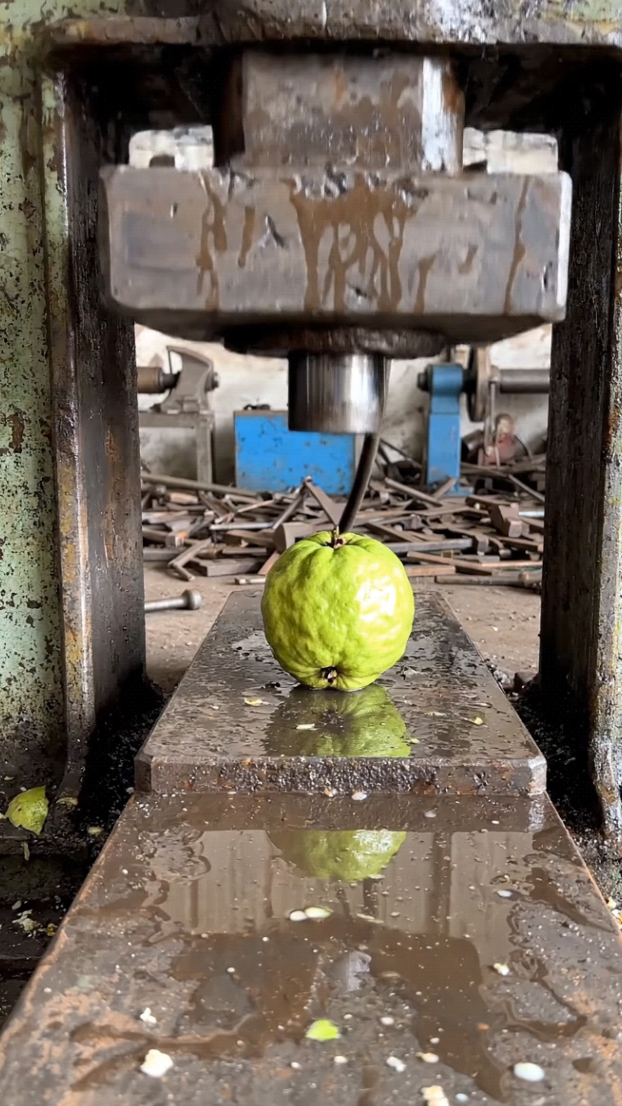 Guava Vs hydrolic prase 🍐🍐🍐