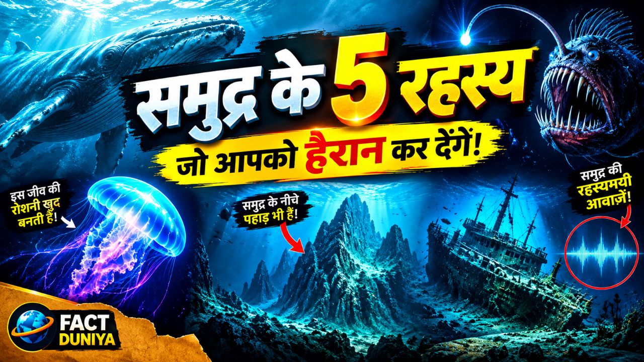 🌊 समुद्र के 5 रहस्य जो आपको हैरान कर देंगे! 😱 | Amazing Ocean Facts in Hindi | Fact Duniya