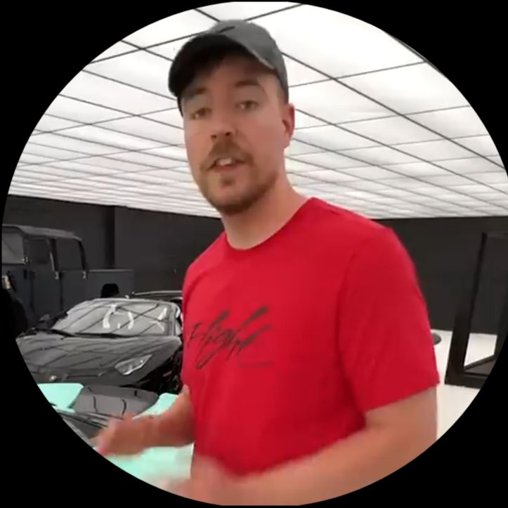 Mr beasts on Bideo