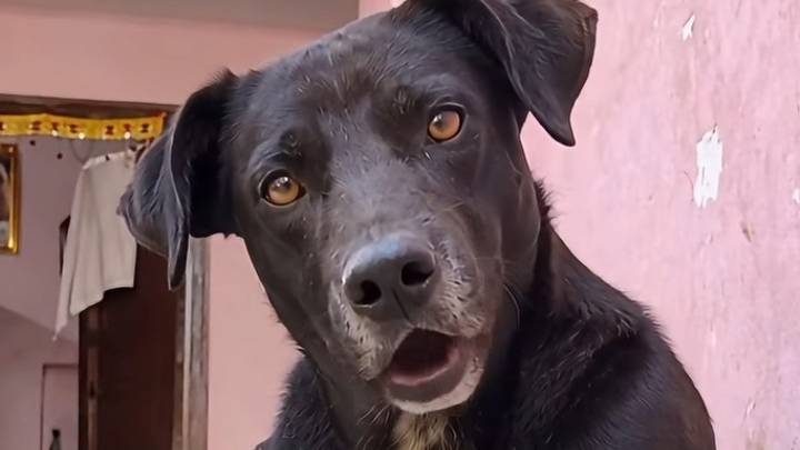 funny videos #$🤣🤣🤣