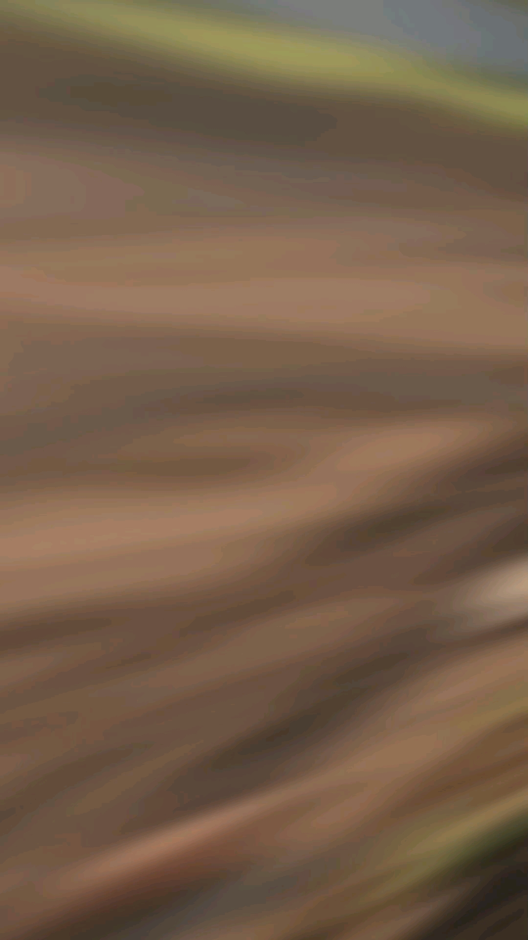 25 October 2026