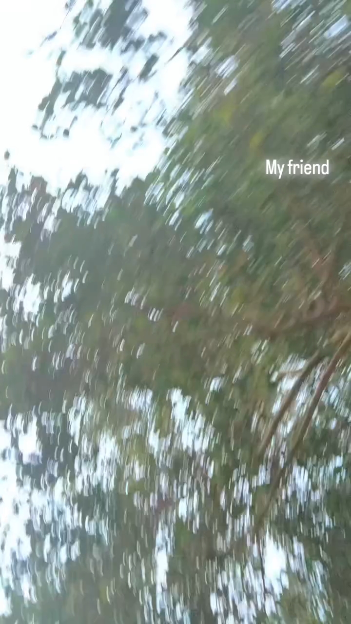 chuna hai divane dil ne ❤️❤️
