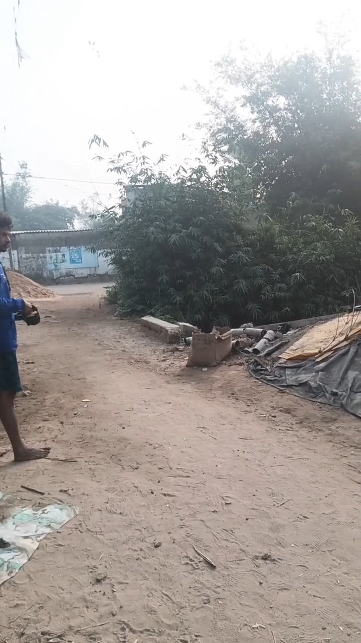 #hungry I love cow #feeding 🥺them #humanity #fypシ💔 #fbreelsvideo